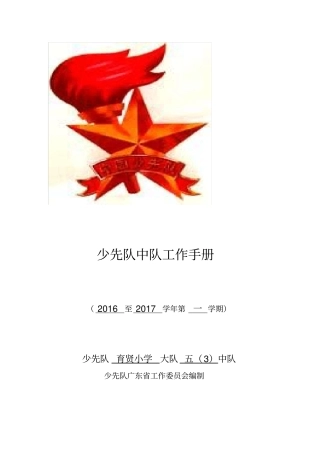 少先队中队工作手册