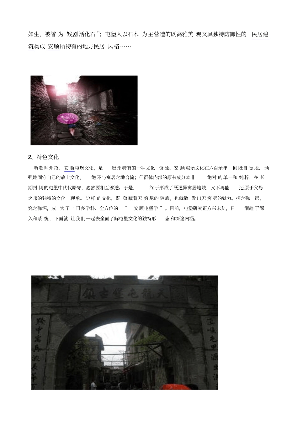 屯堡服饰民俗调查报告重点讲义资料_第2页