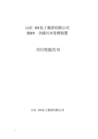 山东xx化工集团有限公司50th含硫污水处理装置可行性研究报告书