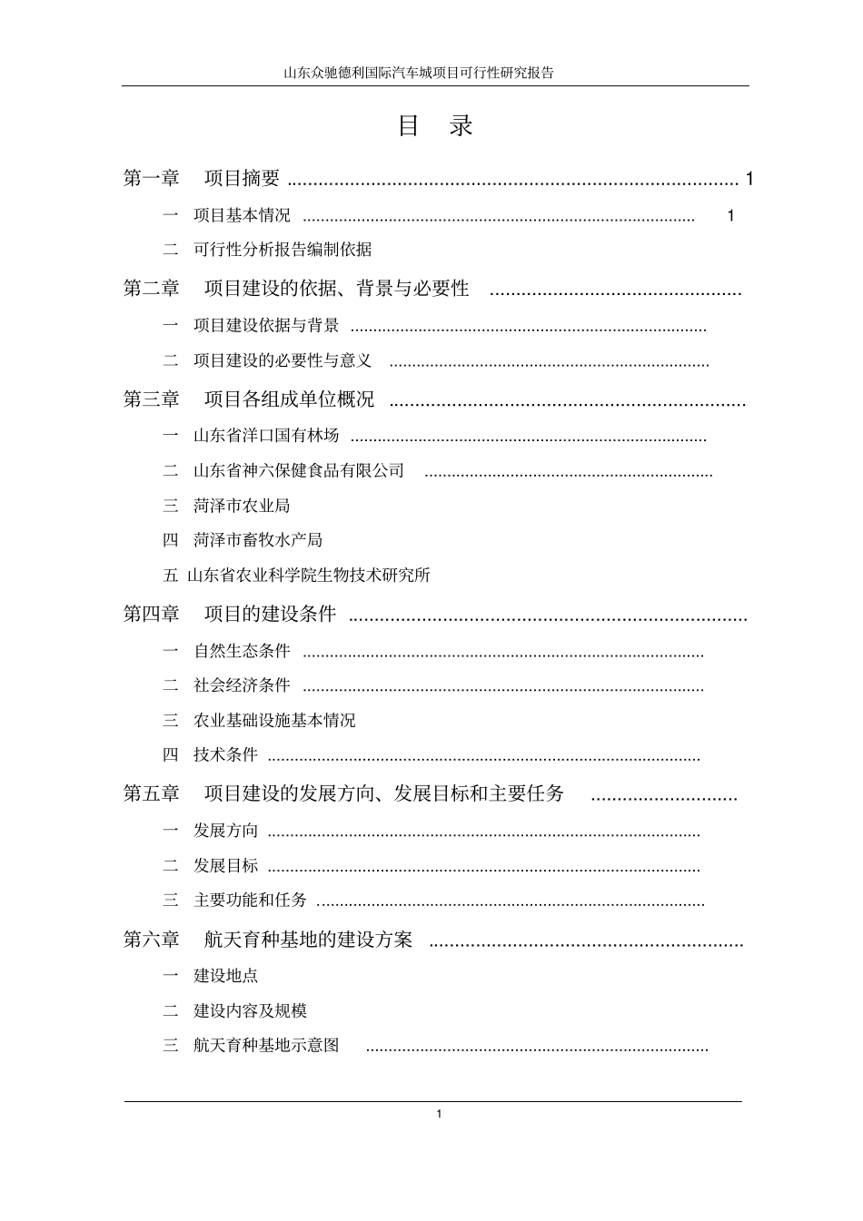 山东众驰德利国际汽车城项目可行性研究报告书_第1页