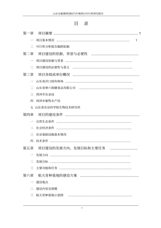 山东众驰德利国际汽车城项目可行性研究报告书