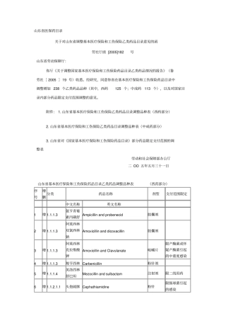 山东医保药目录调整文件