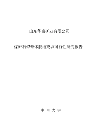 山东华泰矿业有限公司煤矸石似膏体胶结充填可行性研究报告