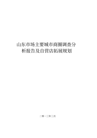 山东场主要城商圈商业调查分析报告