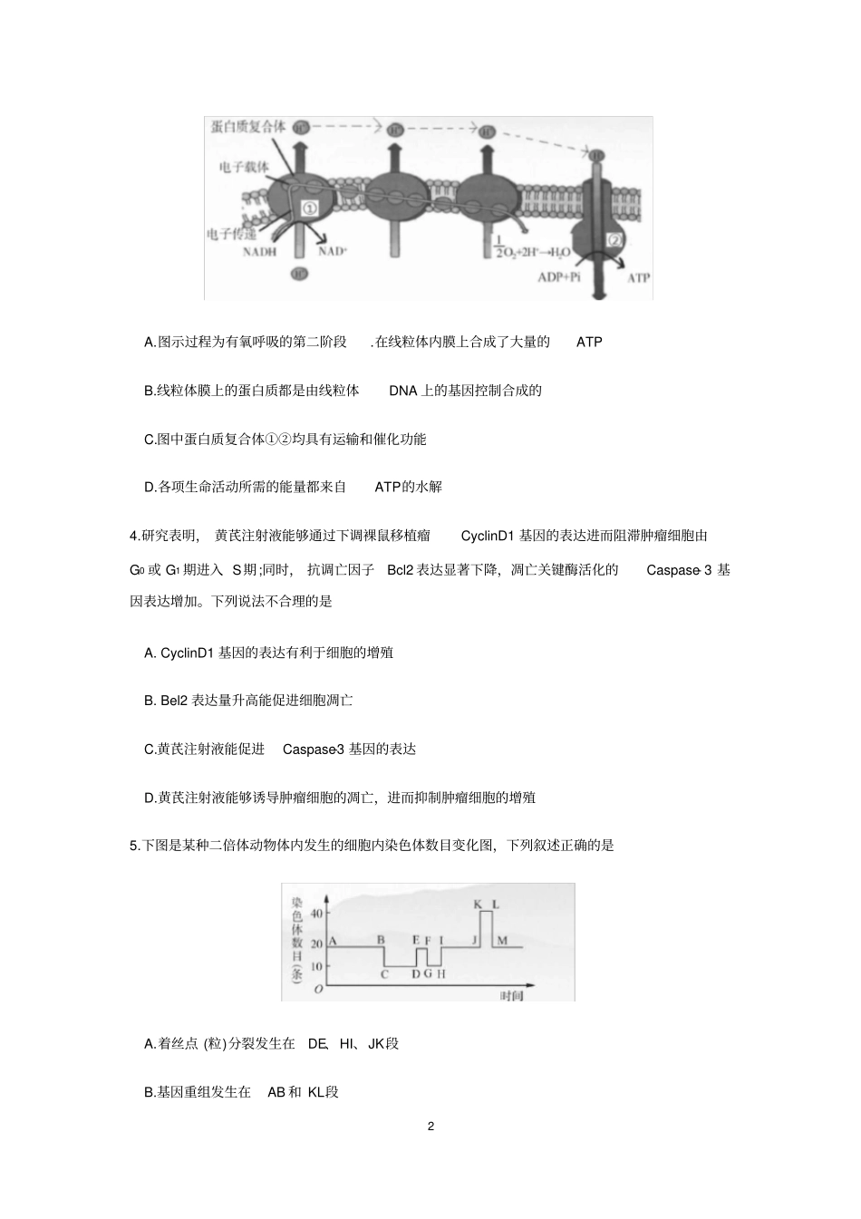 山东泰安2020届高三4月多校联考生物试题有答案_第2页