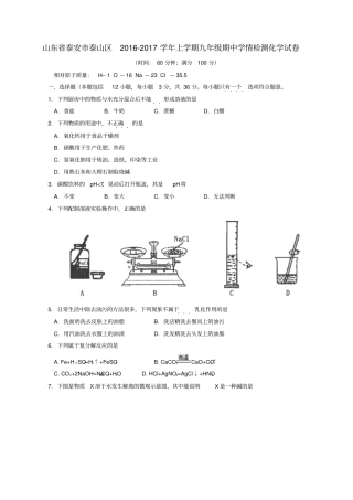 山东泰安泰山区2017届九年级化学上学期期中试题五四制