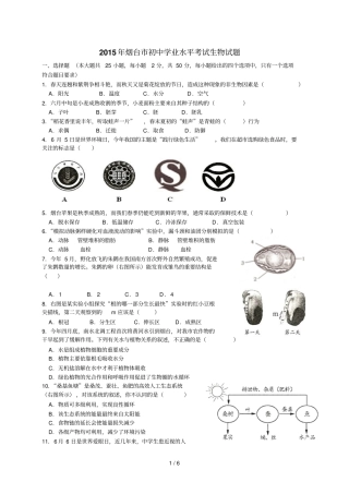 山东烟台初中学业考试生物题