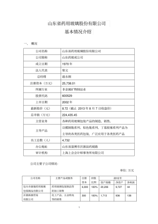 山东药玻情况简介20130809