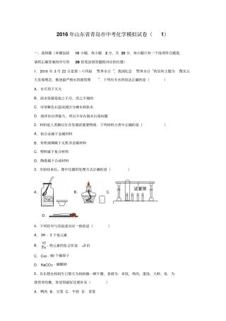 山东青岛中考化学模拟试卷