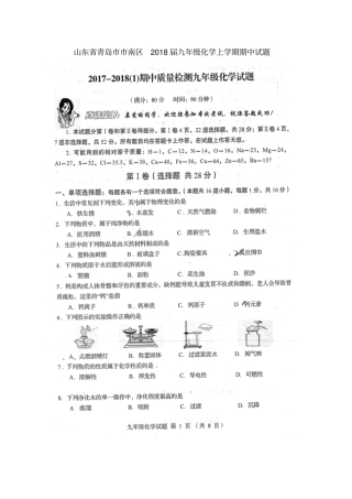 山东青岛南区2018届九年级化学上学期期中试题扫描版鲁教版