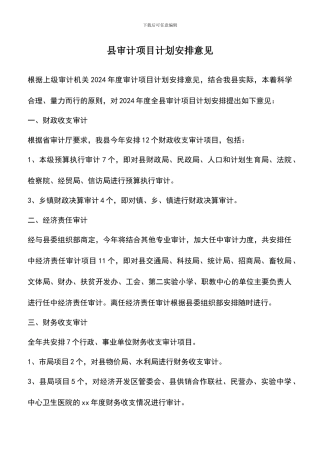 遴选文档：县审计项目计划安排意见
