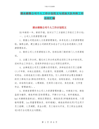 酒水销售公司个人工作计划范文与采油大队年终工作总结汇编