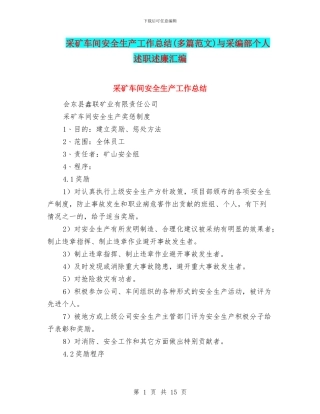 采矿车间安全生产工作总结与采编部个人述职述廉汇编