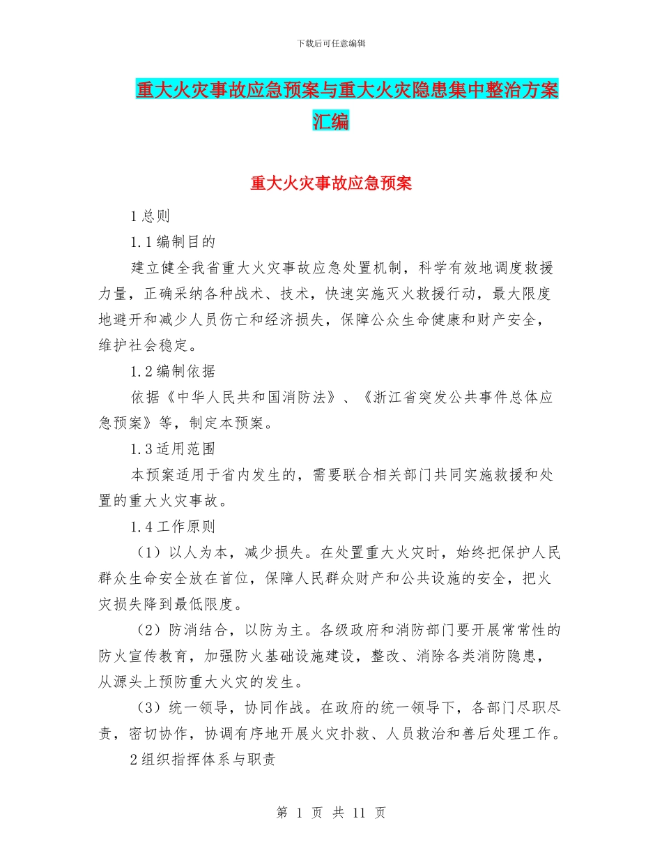 重大火灾事故应急预案与重大火灾隐患集中整治方案汇编_第1页
