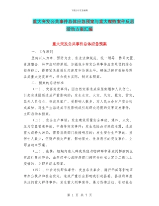 重大突发公共事件总体应急预案与重大腐败案件反思活动方案汇编