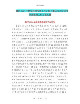 重庆2024年执业药师考试工作计划与重庆市企业信用体系建设工作方案汇编