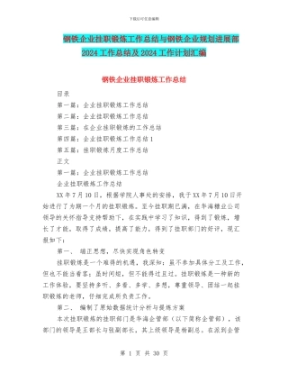 钢铁企业挂职锻炼工作总结与钢铁企业规划发展部2024工作总结及2024工作计划汇编