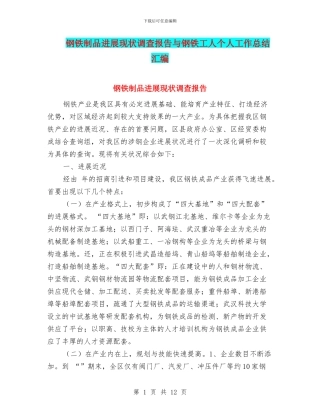 钢铁制品发展现状调查报告与钢铁工人个人工作总结汇编