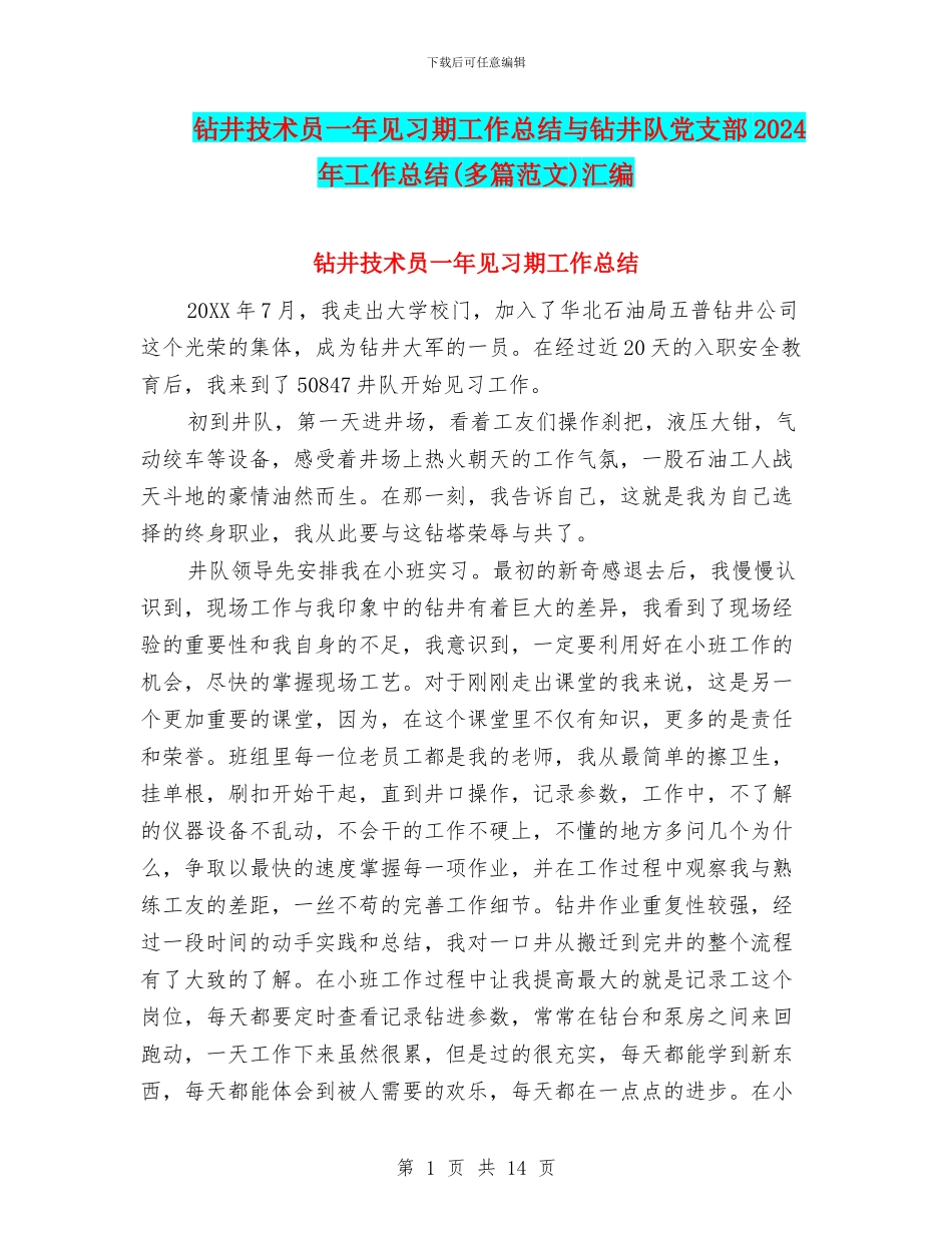 钻井技术员一年见习期工作总结与钻井队党支部2024年工作总结汇编_第1页