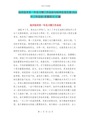 钻井技术员一年见习期工作总结与钻井队党支部2024年工作总结汇编