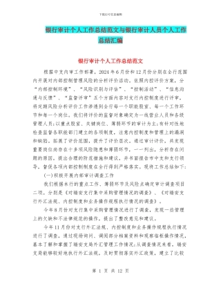 银行审计个人工作总结范文与银行审计人员个人工作总结汇编