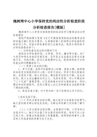 槐树湾中心小学保持党的纯洁性分析检查阶段分析检查报告[模版]