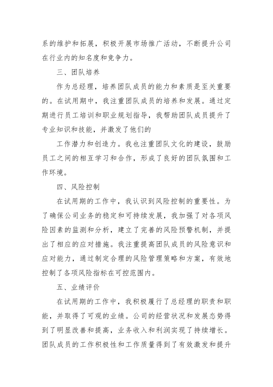 2024年总经理试用期工作总结_第2页