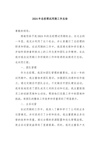 2024年总经理试用期工作总结