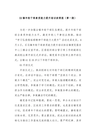 XX镇年轻干部素质能力提升培训班简报（第一期）