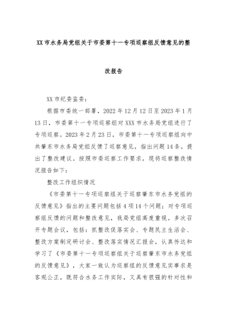 XX市水务局党组关于市委第十一专项巡察组反馈意见的整改报告