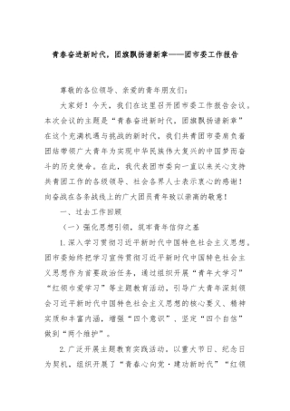 青春奋进新时代，团旗飘扬谱新章——团市委工作报告