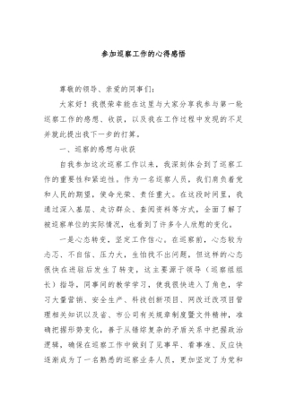 参加巡察工作的心得感悟