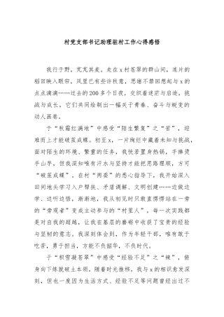 村党支部书记助理驻村工作心得感悟