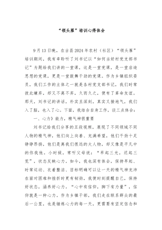 “领头雁”培训心得体会