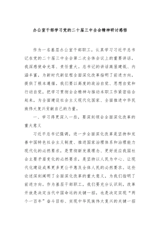 办公室干部学习党的二十届三中全会精神研讨感悟