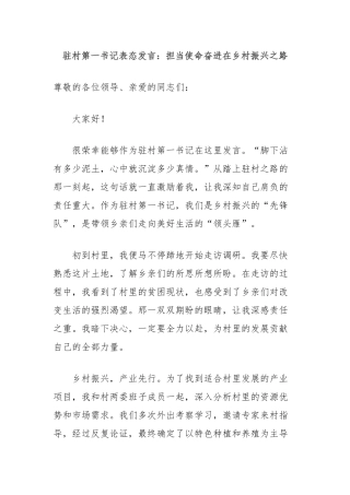 驻村第一书记表态发言：担当使命奋进在乡村振兴之路