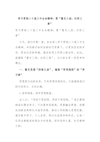 学习贯彻二十届三中全会精神：要“蓄足三劲，打好三拳”