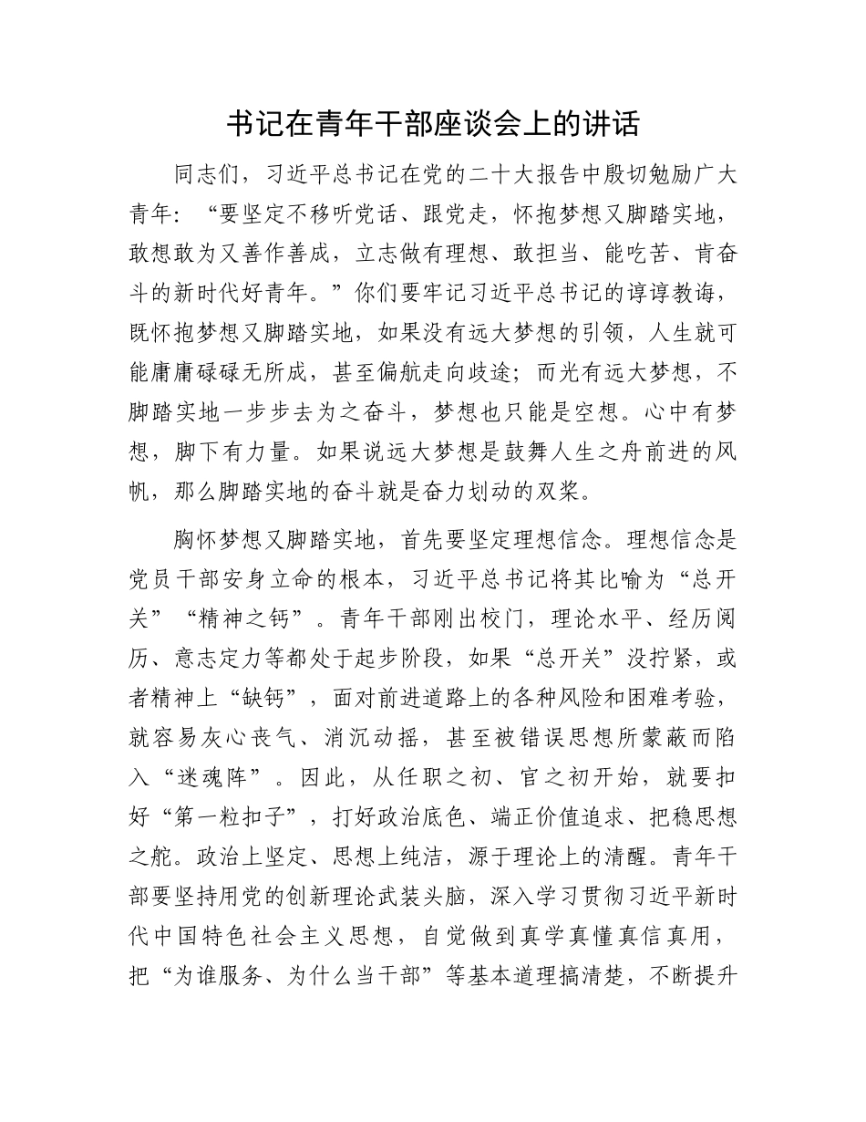 书记在青年干部座谈会上的讲话_第1页