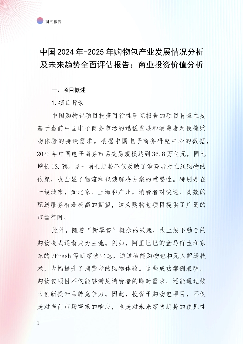 中国2024年-2025年购物包产业发展情况分析及未来趋势全面评估报告：商业投资价值分析_第1页