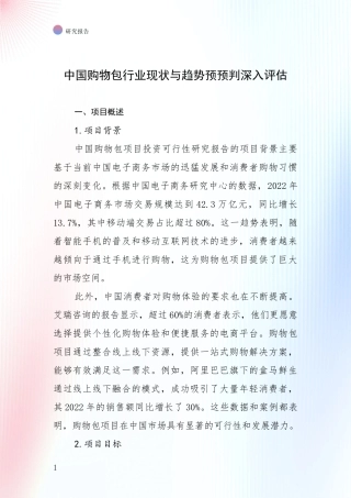 中国购物包行业现状与趋势预预判深入评估