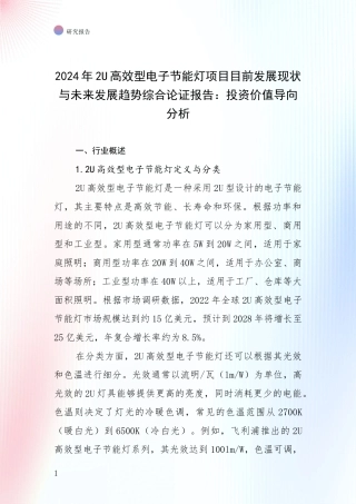 2024年2U高效型电子节能灯项目目前发展现状与未来发展趋势综合论证报告：投资价值导向分析
