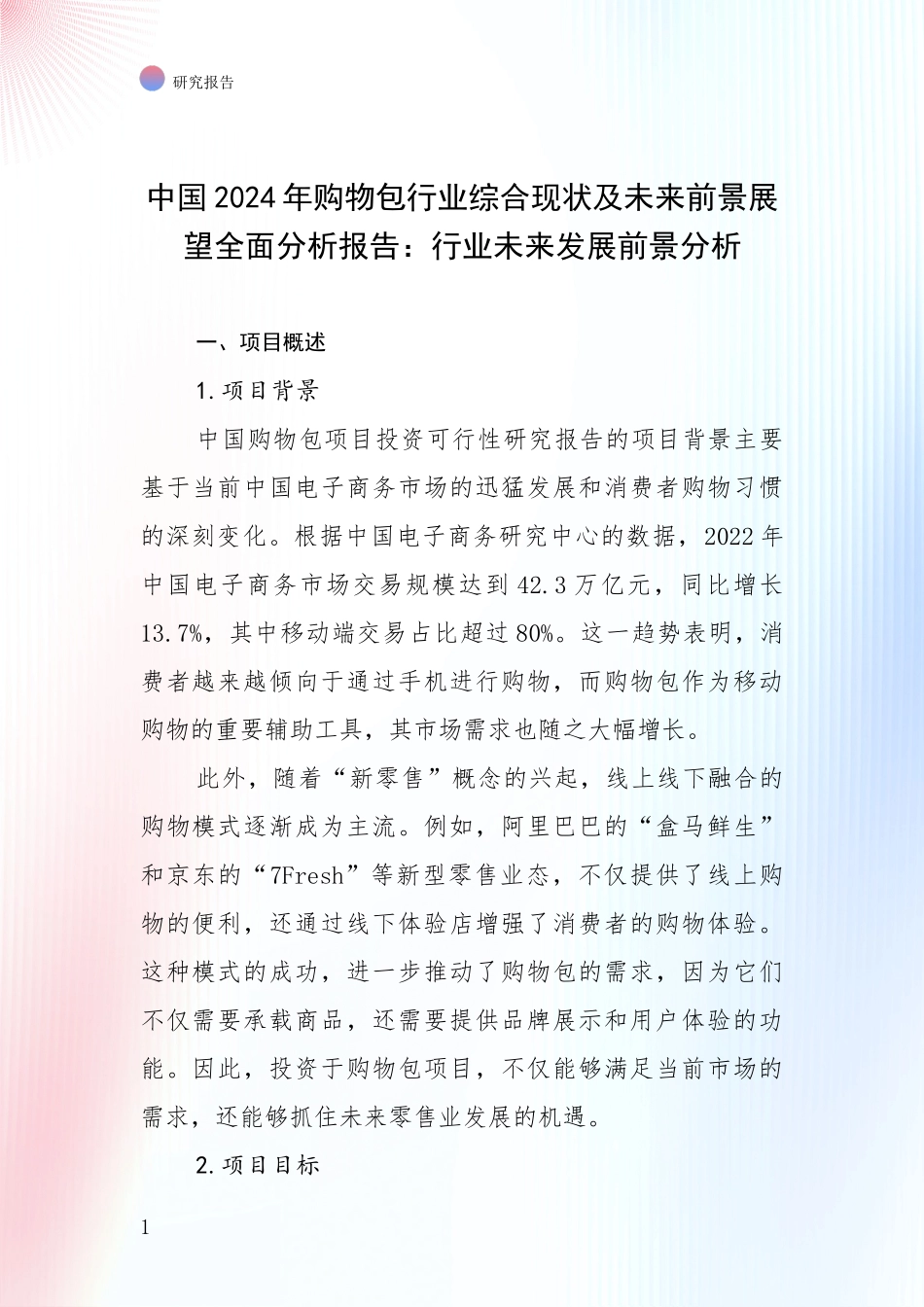 中国2024年购物包行业综合现状及未来前景展望全面分析报告：行业未来发展前景分析_第1页