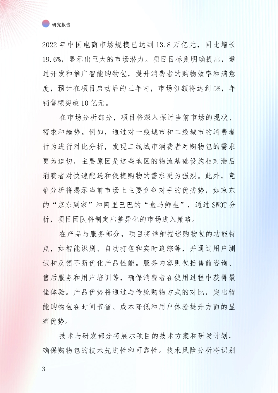 中国2024-2025年购物包项目项目可行性综合研究报告_第3页