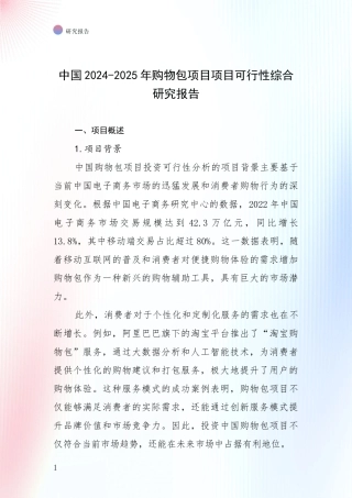中国2024-2025年购物包项目项目可行性综合研究报告