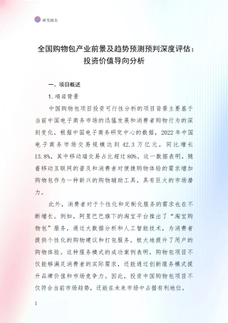 全国购物包产业前景及趋势预测预判深度评估：投资价值导向分析