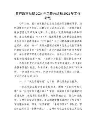 县行政审批局2024年工作总结和2025年工作计划