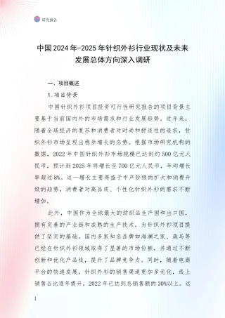 中国2024年-2025年针织外衫行业现状及未来发展总体方向深入调研