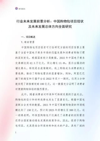行业未来发展前景分析：中国购物包项目现状及未来发展总体方向全面研究