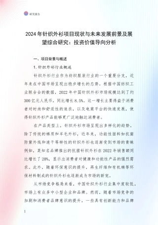 2024年针织外衫项目现状与未来发展前景及展望综合研究：投资价值导向分析