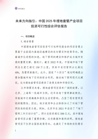 未来方向指引：中国2025年埋地套管产业项目投资可行性综合评估报告